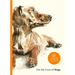 For the Love of Dogs: 25 Postcards