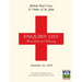 British Red Cross and Order of St John Enquiry List for Wounded and Missing: DECEMBER 1ST 1918 Part Two