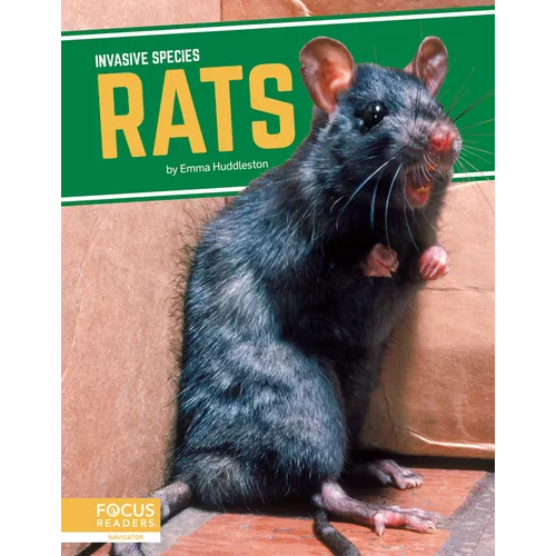 Rats
