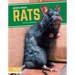 Rats