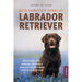 Guía completa sobre el Labrador Retriever: Cómo elegir, criar, adiestrar, alimentar y amar a tu Labrador desde cachorro hasta la vejez