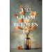 The Chasm Between Us
