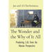 The Wonder and the Why of It All: Pondering Life from the Marian Perspective
