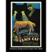 The Black Cat