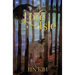 Lore Isle