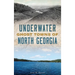 Underwater Ghost Towns of North Georgia