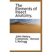The Elements of Insect Anatomy.
