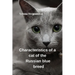 Characteristics of a Cat of the Russian Blue Breed