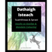 Dathaigh Isteach - Suaimhneas & Spraoi: Insults as Gaeilge & Adult Mandala Colouring book. Irish language book