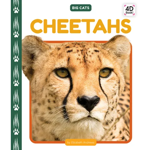 Cheetahs