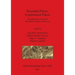 Recorded Places, Experienced Places: The Holocene rock art of the Iberian Atlantic north-west