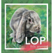 Lop Felt Worried