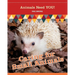 Caring for Small Animals (Animals Need YOU!)