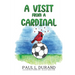 A Visit From A Cardinal
