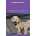Cavapoo Activities Cavapoo Tricks, Games & Agility Includes: Cavapoo Beginner to Advanced Tricks, Fun Games, Agility and More