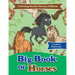 Big Book Of Horses - Coloring Books Horses Edition