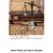 Social Work and the Courts: A Casebook