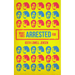 What I Was Arrested for