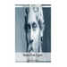 Stories From Tagore