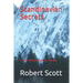 Scandinavian Secrets: A John Peters Mystery Thriller