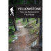 Yellowstone Trail and Backcountry Field Guide