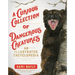 A Curious Collection of Dangerous Creatures: An Illustrated Encyclopedia