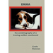 The Autobiography of a Treeing Walker Coonhound: Emma