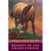 Brighty of the Grand Canyon