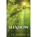 Beyond the Shadow