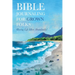 Bible Journaling for Grown Folks: Having Life More Abundantly!