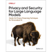 Privacy and Security for Large Language Models: Hands-On Privacy-Preserving Techniques for Personalized AI