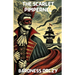 The Scarlet Pimpernel(Illustrated)