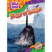 Narwhals