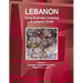 Lebanon: Doing Business, Investing in Lebanon Guide Volume 1 Strategic, Practical Information, Regulations, Contacts