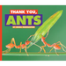Thank You, Ants