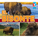 El Bisonte (Bison)