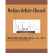 Warships at the Battle of Riachuelo