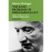 The Basic Problems of Phenomenology, Revised Edition