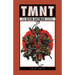 Teenage Mutant Ninja Turtles: The Kevin Eastman Covers (2019-2024)