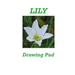 Lily Drawing Pad