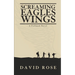 Screaming Eagles Wings: A Fallujah Novel