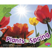 Plants in Spring