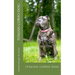 italian corso dog: italian corso dog