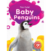 Baby Penguins