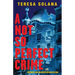 A Not So Perfect Crime