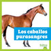 Los Caballos Purasangres (Thoroughbred Horses)