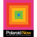 Polaroid Now: The History and Future of Polaroid Photography