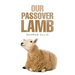 Our Passover Lamb