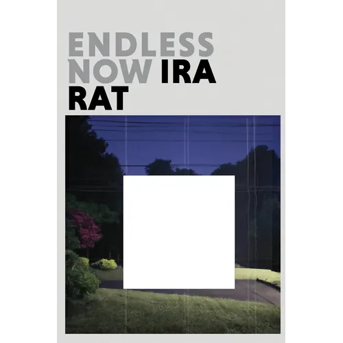 Endless Now (standard edition)