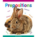 Prepositions